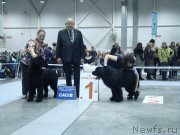 Превью фото № 218946