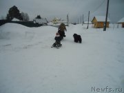 Превью фото № 218950