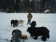 Превью фото № 218992