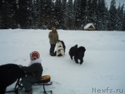 Превью фото № 218993