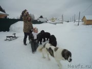 Превью фото № 218996