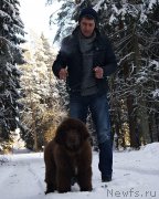 Превью фото № 219046