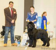 Превью фото № 219131