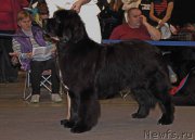 Превью фото № 219166