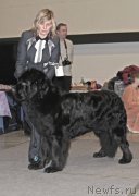 Превью фото № 219173