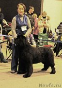 Превью фото № 219178