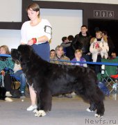 Превью фото № 219182