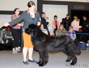 Превью фото № 219187