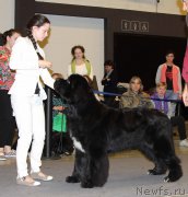 Превью фото № 219189