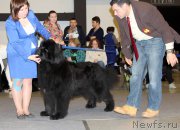 Превью фото № 219193