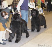 Превью фото № 219194