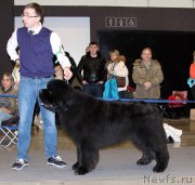Превью фото № 219197