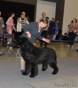 Превью фото № 219203