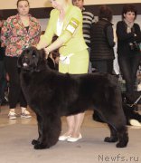 Превью фото № 219222