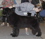 Превью фото № 219231