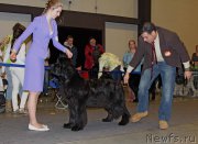 Превью фото № 219236