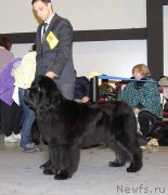 Превью фото № 219248