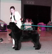 Превью фото № 219258