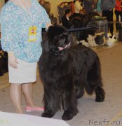 Превью фото № 219259