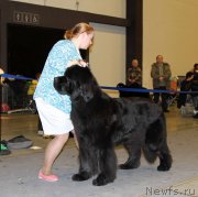 Превью фото № 219260