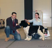 Превью фото № 219274