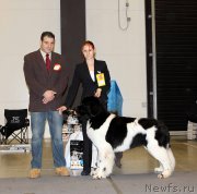 Превью фото № 219284