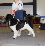 Превью фото № 219299