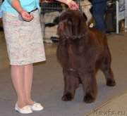 Превью фото № 219313