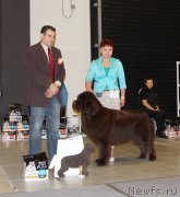 Превью фото № 219314