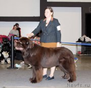 Превью фото № 219321