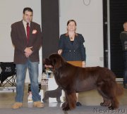 Превью фото № 219323