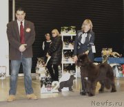 Превью фото № 219329