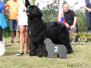 Превью фото № 219339