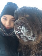 Превью фото № 219347