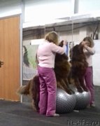 Превью фото № 219443