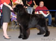 Превью фото № 219546