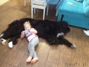 Превью фото № 219552