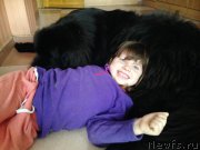 Превью фото № 219590