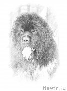 Превью фото № 219603