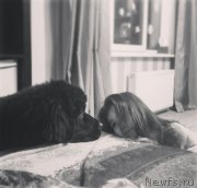 Превью фото № 219635