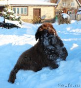 Превью фото № 219641