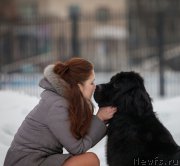 Превью фото № 219668