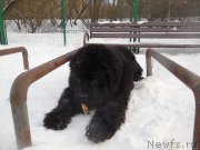 Превью фото № 219699