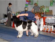 Превью фото № 219703