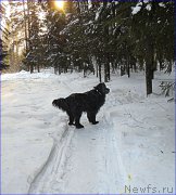 Превью фото № 219845