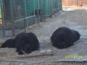 Превью фото № 219875