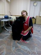 Превью фото № 219992