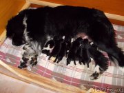 Превью фото № 220008