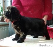 Превью фото № 220019