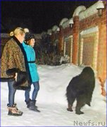 Превью фото № 220027